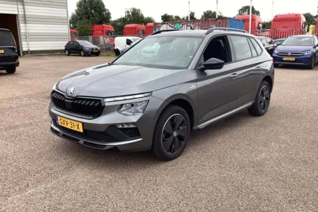 Škoda Kamiq (2024) thumbnail 1