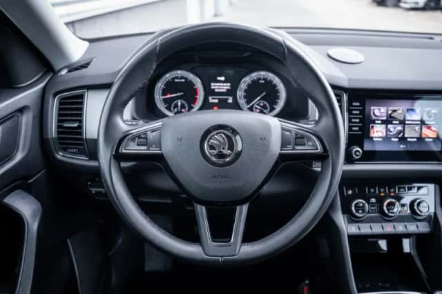 Škoda Kodiaq (2020) thumbnail 19