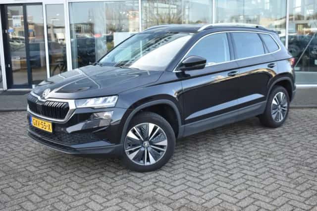 Škoda Karoq (2025) thumbnail 1