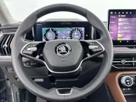 Škoda Kodiaq (2024) thumbnail 17