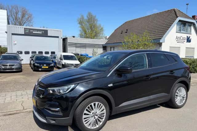 Opel Grandland X (2019) thumbnail 1
