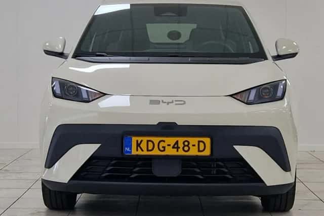 BYD Dolphin (2026) thumbnail 2