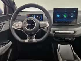 BYD Dolphin (2026) thumbnail 14