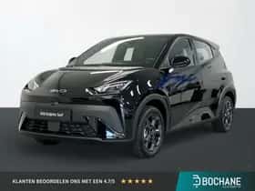BYD Dolphin (2026)