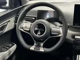 BYD Dolphin (2026) thumbnail 32