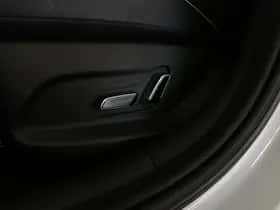BYD Dolphin (2026) thumbnail 13