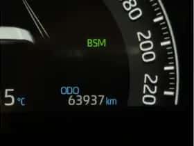 Toyota RAV4 (2021) thumbnail 20