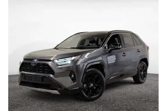 Toyota RAV4 (2022) thumbnail 1
