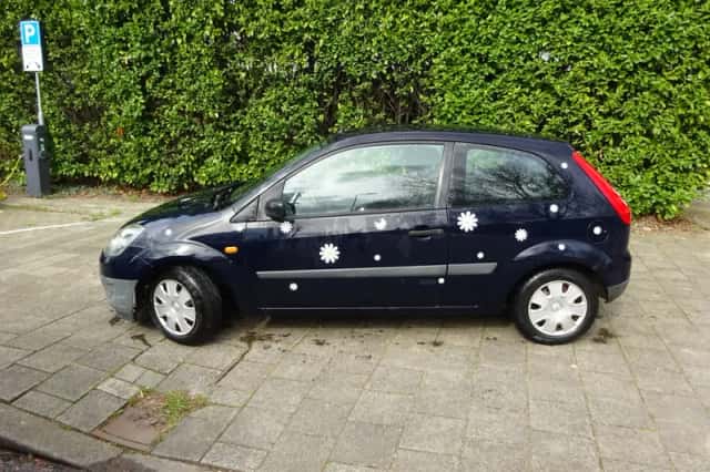 Ford Fiesta (2006) thumbnail 2