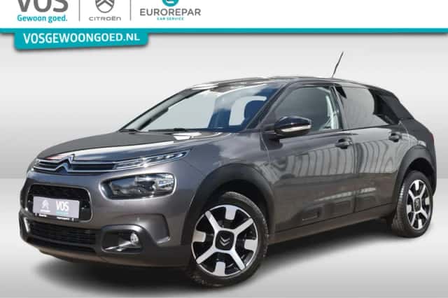 Citroën C4 Cactus (2019) thumbnail 1