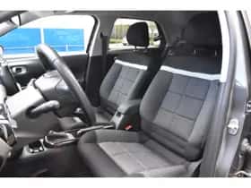 Citroën C4 Cactus (2019) thumbnail 2