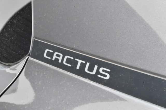 Citroën C4 Cactus (2019) thumbnail 18