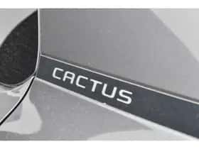 Citroën C4 Cactus (2019) thumbnail 18