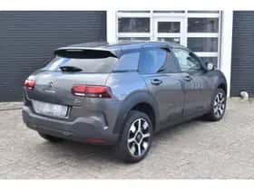 Citroën C4 Cactus (2019) thumbnail 24