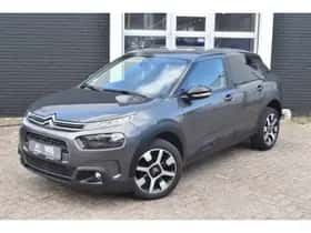 Citroën C4 Cactus (2019) thumbnail 25