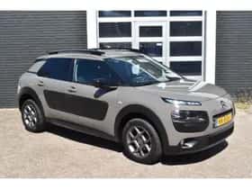 Citroën C4 Cactus (2017) thumbnail 12