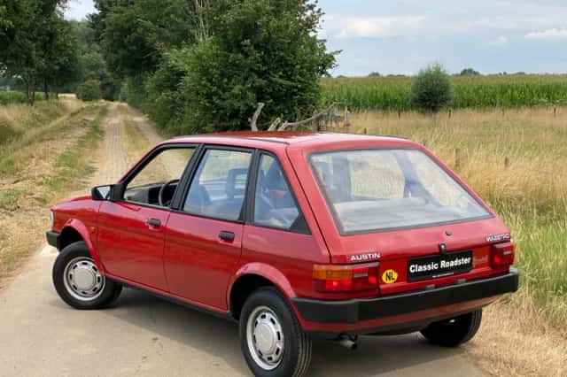 Austin Maestro (1987) thumbnail 3