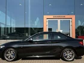 BMW 2-Serie (2014) thumbnail 10