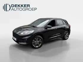 Ford Kuga (2022)