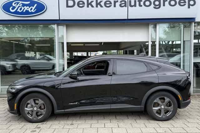 Ford Mustang Mach-E (2021) thumbnail 3
