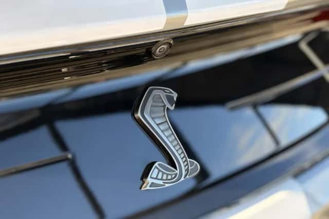 Ford Mustang (2020) thumbnail 13