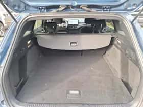 Ford Focus (2023) thumbnail 10