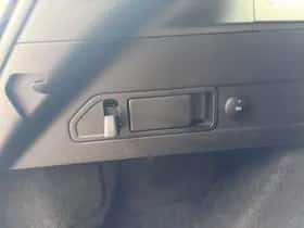 Ford Focus (2024) thumbnail 31