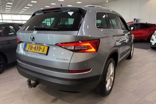 Škoda Kodiaq (2018) thumbnail 6