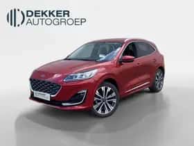 Ford Kuga (2022)