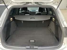 Ford Focus (2023) thumbnail 21