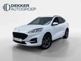 Ford Kuga (2024)