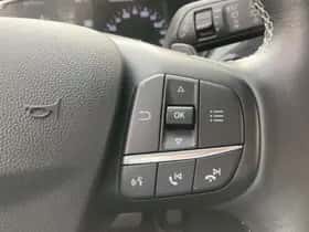 Ford Fiesta (2020) thumbnail 19
