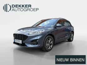 Ford Kuga (2021)