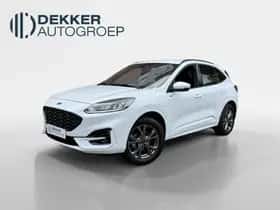 Ford Kuga (2024)