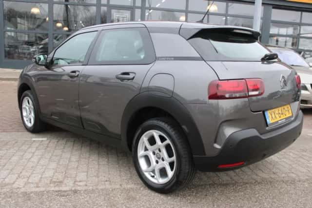 Citroën C4 Cactus (2019) thumbnail 6