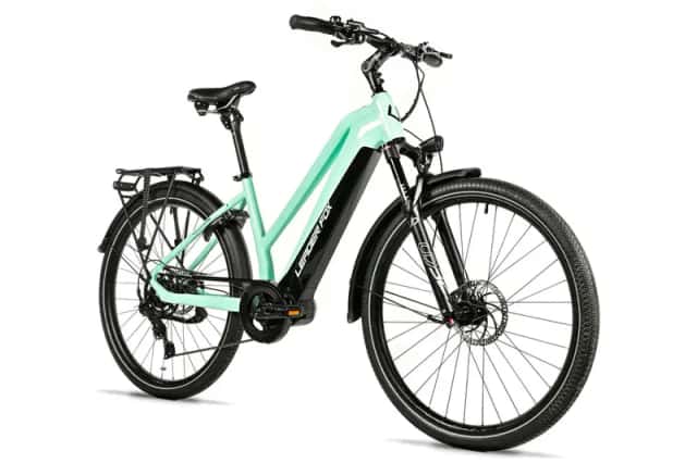 DS Leader Fox Lucas 28" Lady (0) thumbnail 1