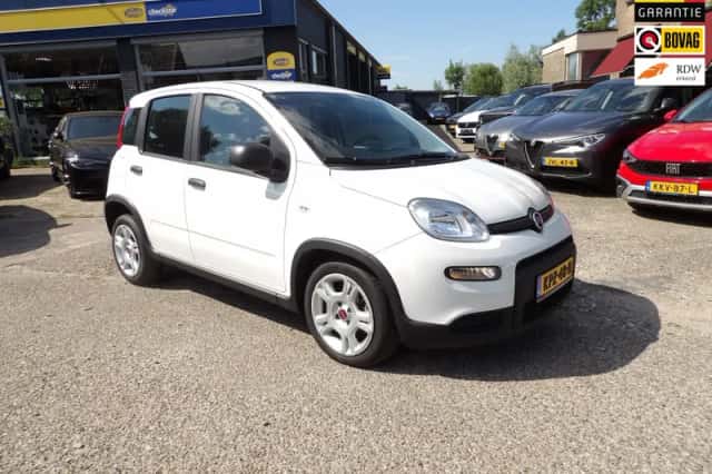 Fiat Panda (2024) thumbnail 2