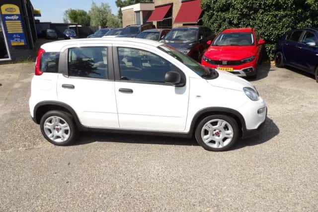Fiat Panda (2024) thumbnail 3