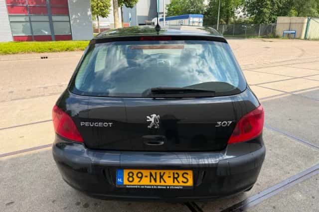 Peugeot 307 (2003) thumbnail 5