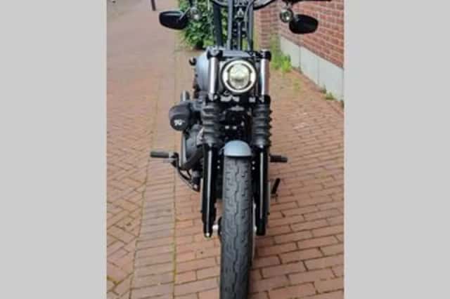 HARLEY-DAVIDSON STREET (2020) thumbnail 3