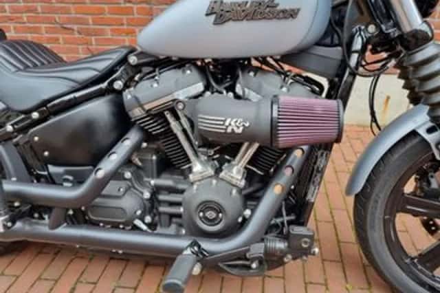 HARLEY-DAVIDSON STREET (2020) thumbnail 4