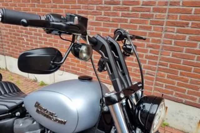 HARLEY-DAVIDSON STREET (2020) thumbnail 6