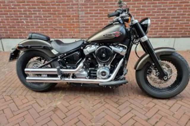 HARLEY-DAVIDSON Softail (2021) thumbnail 1