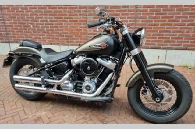 HARLEY-DAVIDSON Softail (2021) thumbnail 2