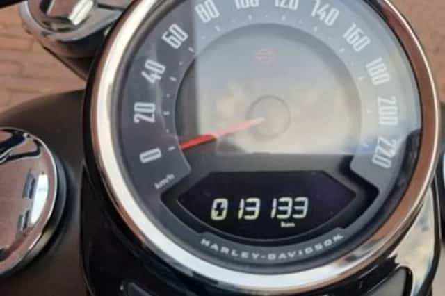 HARLEY-DAVIDSON Softail (2021) thumbnail 3