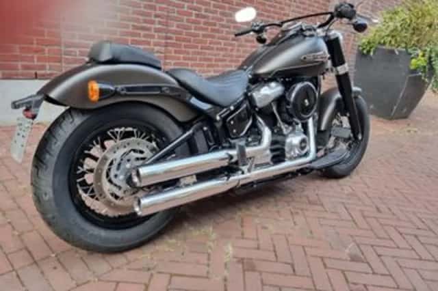 HARLEY-DAVIDSON Softail (2021) thumbnail 4