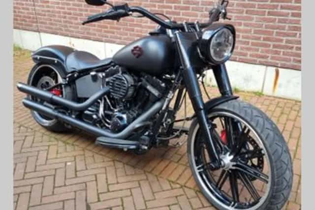 HARLEY-DAVIDSON SOFTAIL (2016) thumbnail 1