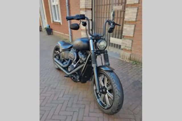 HARLEY-DAVIDSON STREET (2018) thumbnail 3