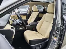 Lexus NX (2018) thumbnail 35