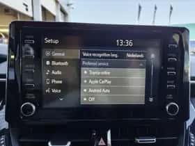 Toyota Corolla (2020) thumbnail 19